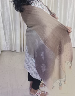 Brown Mix Shade Warm Stole